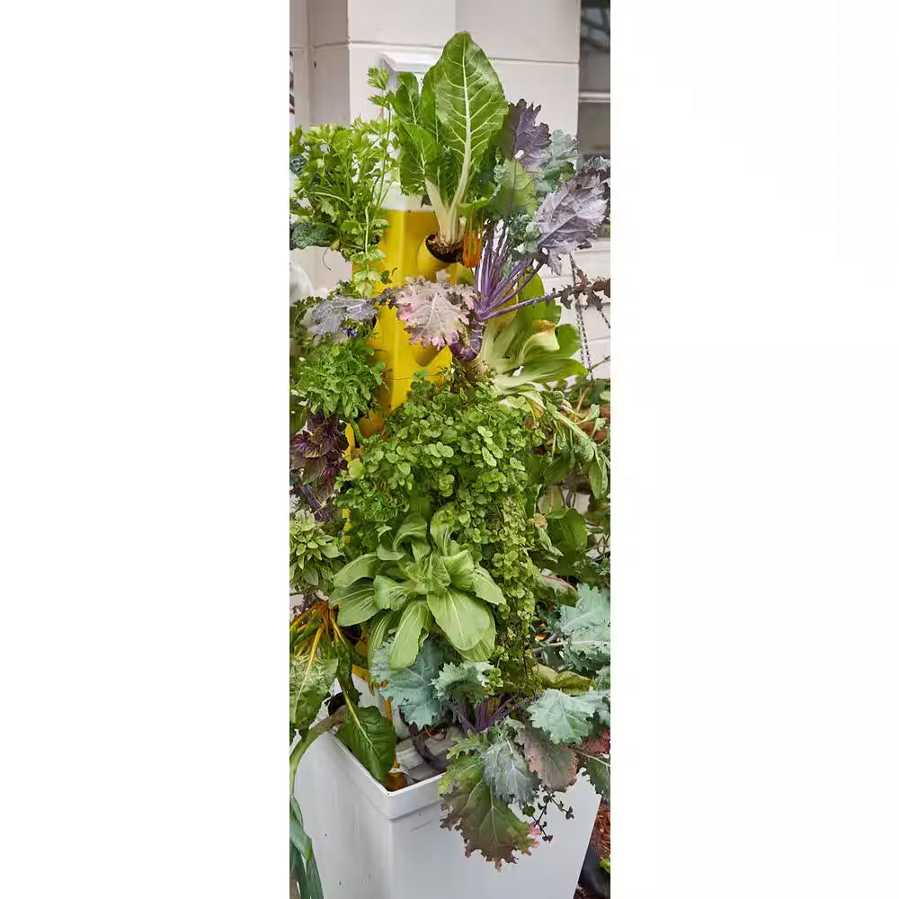 Vertical Hydroponic Garden Tower System for Indoor and Outdoor Use