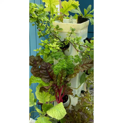 Vertical Hydroponic Garden Tower System for Indoor and Outdoor Use